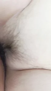 娱乐圈的妖精生活